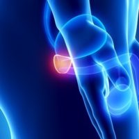 Improving our Prostate Health Naturally