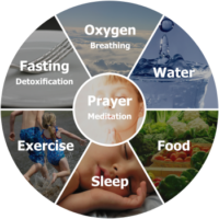 Seven Basic Steps to Total Health Course Purchase