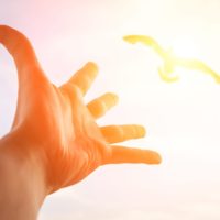 Healing Body Mind and Spirit Course Purchase