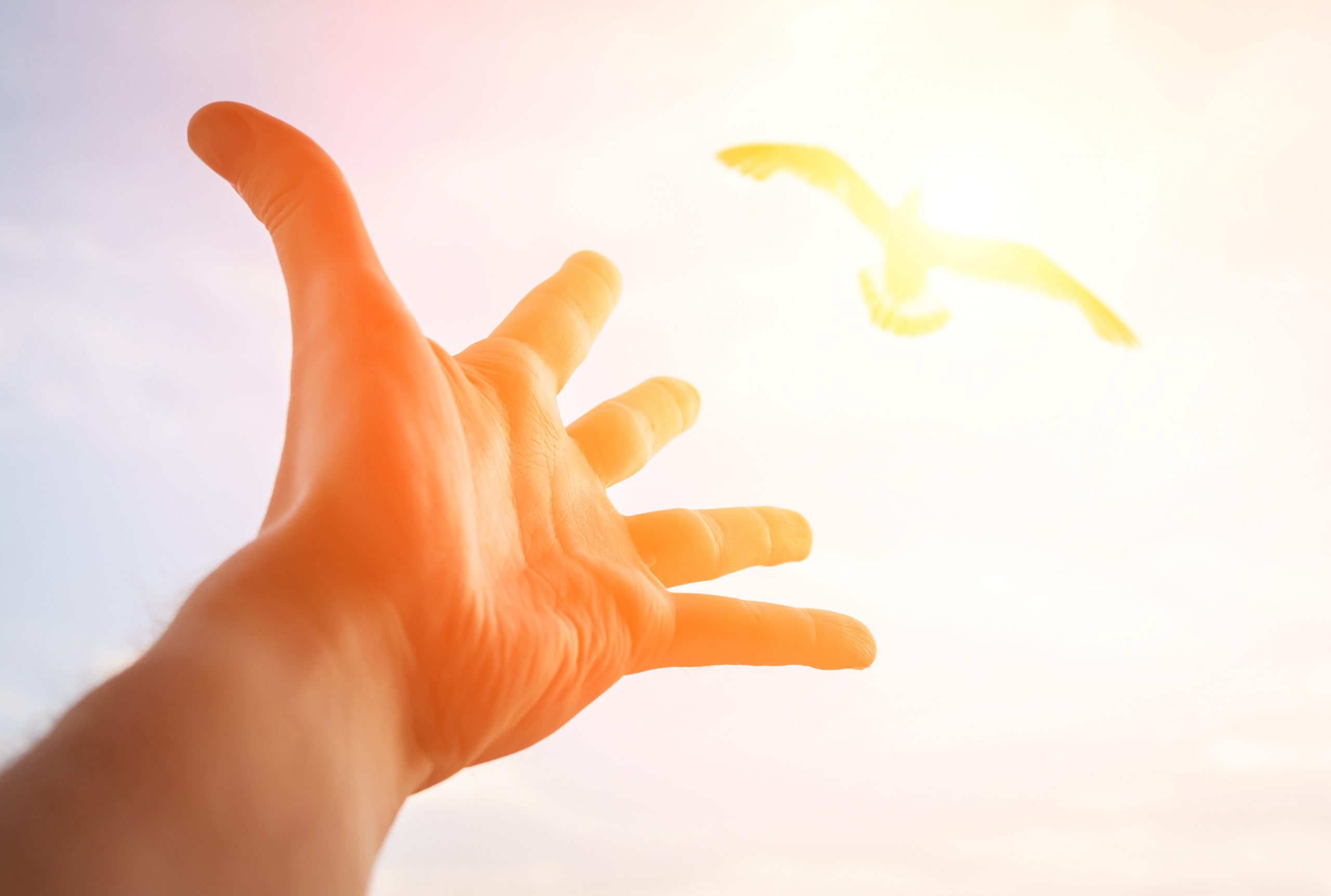 Healing Body Mind and Spirit Course Purchase